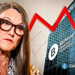 Cathie Wood’s Ark Invest Buy Bitmine (BMNR) Stock Dips on Solid ETH Treasury Plan