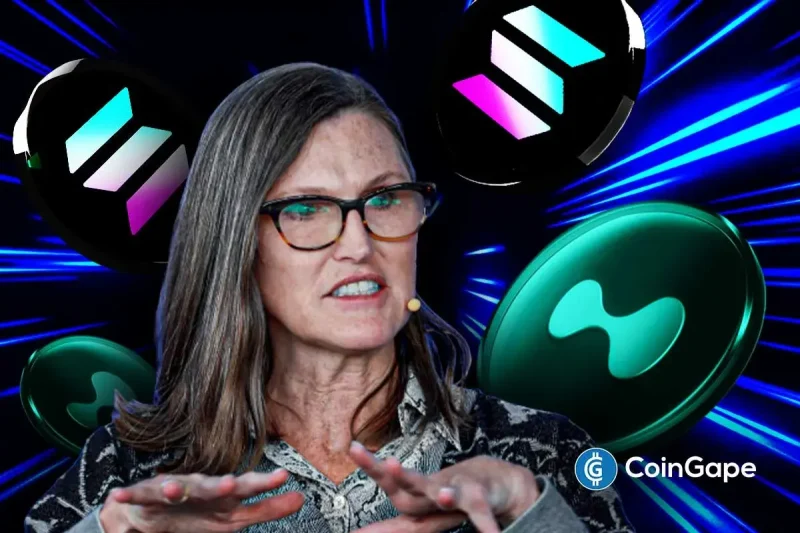 Cathie Wood Calls HYPE Token Next Solana as Perp Dex Trading Volumes Surpass $2T
