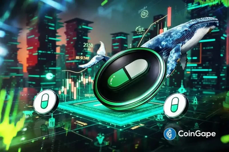 PUMP Price Set for Lift-Off as Whales Return With Multi-Million Dollar Buys