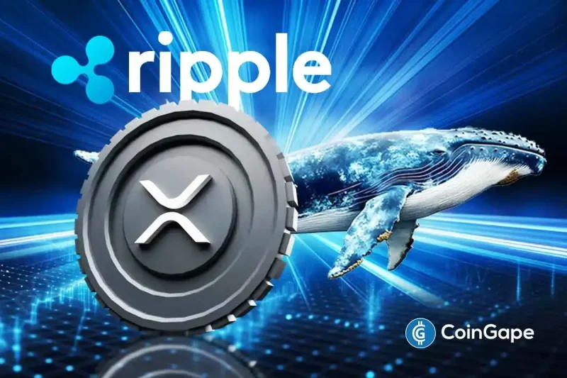 Whale Dumps Massive $55 Million in XRP to Ripple as Coin Falls Below $3?
