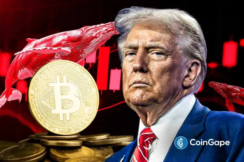Bitcoin Sell-Off Ahead? Garett Jin Moves $760M BTC to Binance Amid Trump’s New Tariffs
