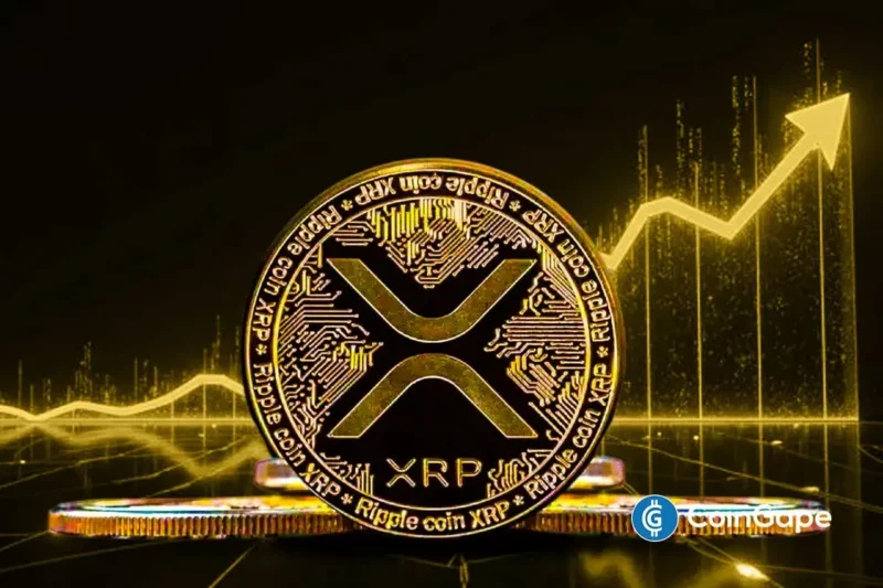 Analyst Reveals XRP FUD Peaks, Rally Incoming or a Crash Ahead?
